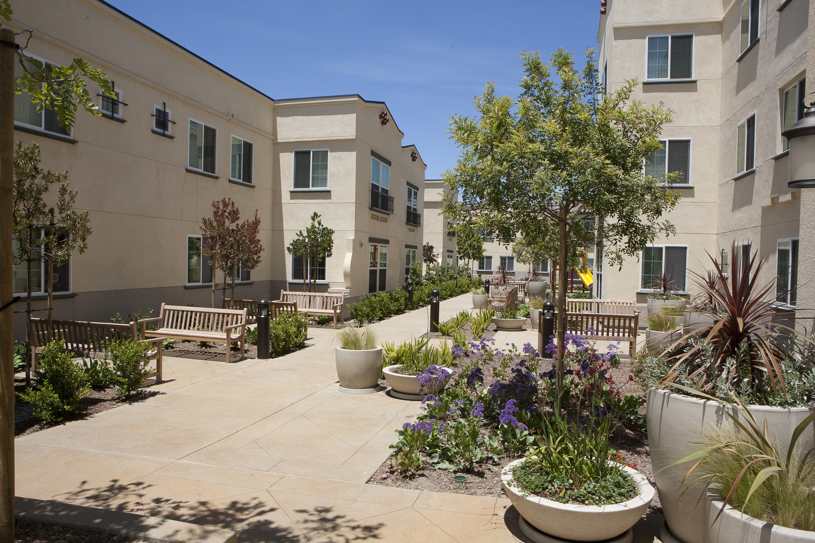 Casa Dominguez Courtyard.